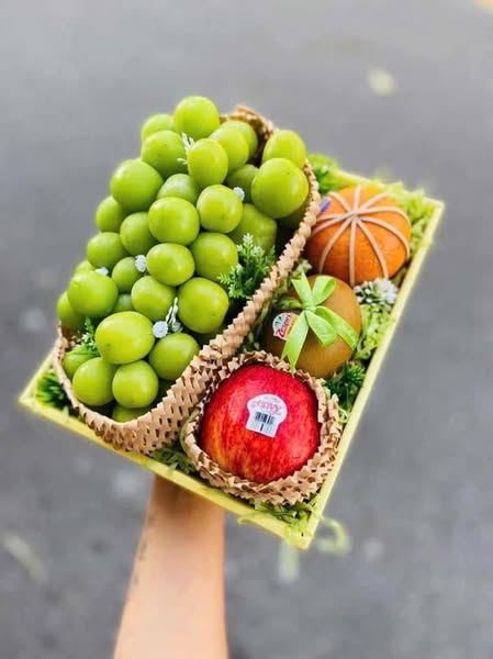 Khay giấy, túi giấy, nhiều kích thước và màu sắc đa dạng, sản phẩm phù hợp với mọi nhu cầu sử dụng xanh, đỏ, tím, kem, túi giấy cứng cáp, cán bóng, khay giấy chắc chắn, Tổng Kho Ngọc Minh Châu, Phụ kiện đóng giỏ quà