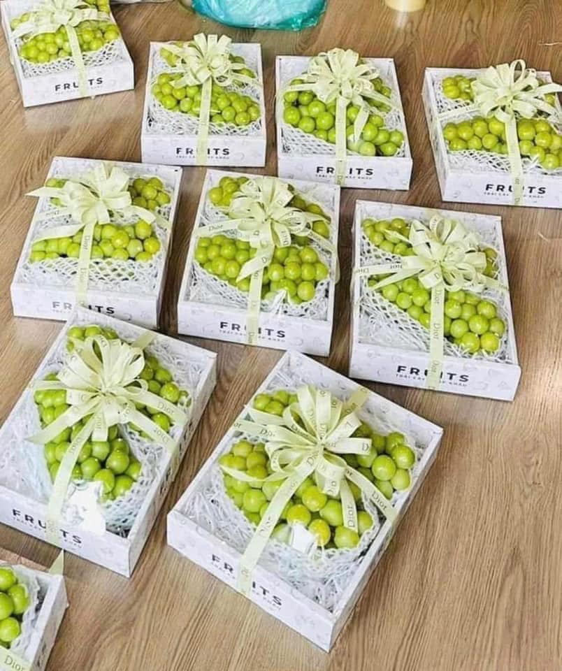 Khay giấy, túi giấy, nhiều kích thước và màu sắc đa dạng, sản phẩm phù hợp với mọi nhu cầu sử dụng xanh, đỏ, tím, kem, túi giấy cứng cáp, cán bóng, khay giấy chắc chắn, Tổng Kho Ngọc Minh Châu, Phụ kiện đóng giỏ quà