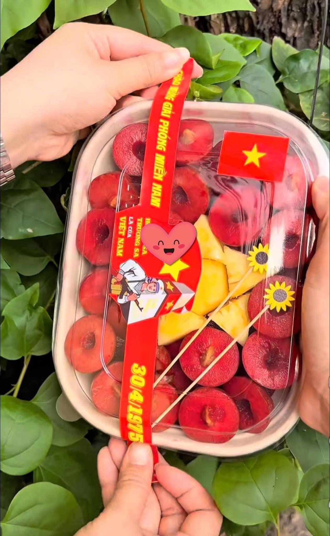 Hộp giấy bã mía, thân thiện môi trường, tổng kho ngọc minh châu, chất lượng, an toàn, hộp giấy đựng hoa quả, hộp giấy đựng đồ ăn